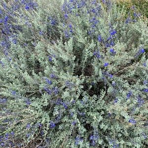 Meet your Posher, Chloe